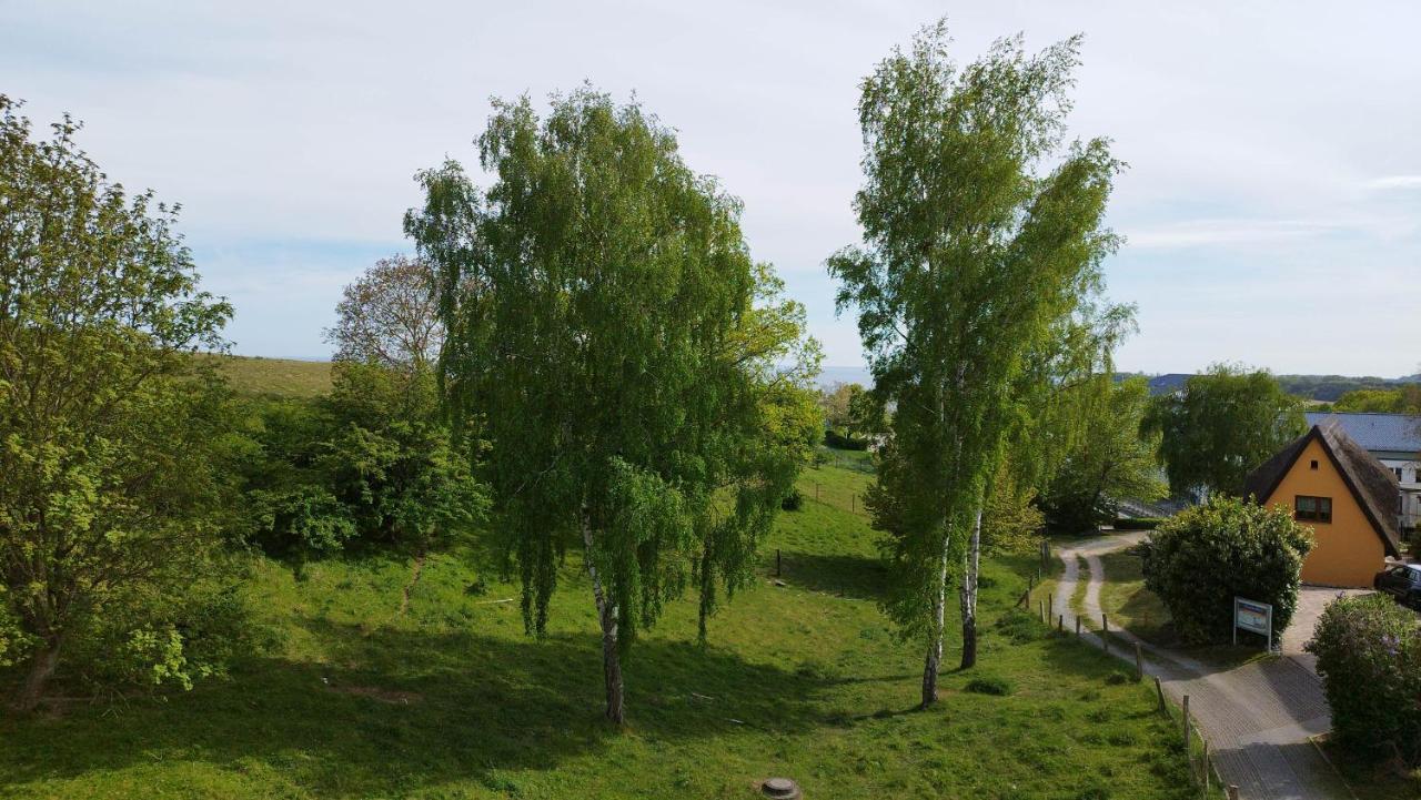 Traumblick Sellin: Spacious Beachside Apartment with Pool and Sauna Goehren  Exterior photo