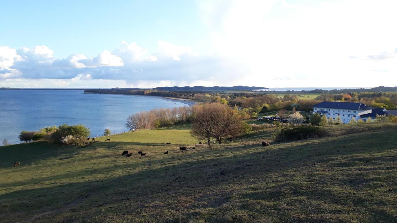 Traumblick Sellin: Spacious Beachside Apartment with Pool and Sauna Goehren  Exterior photo