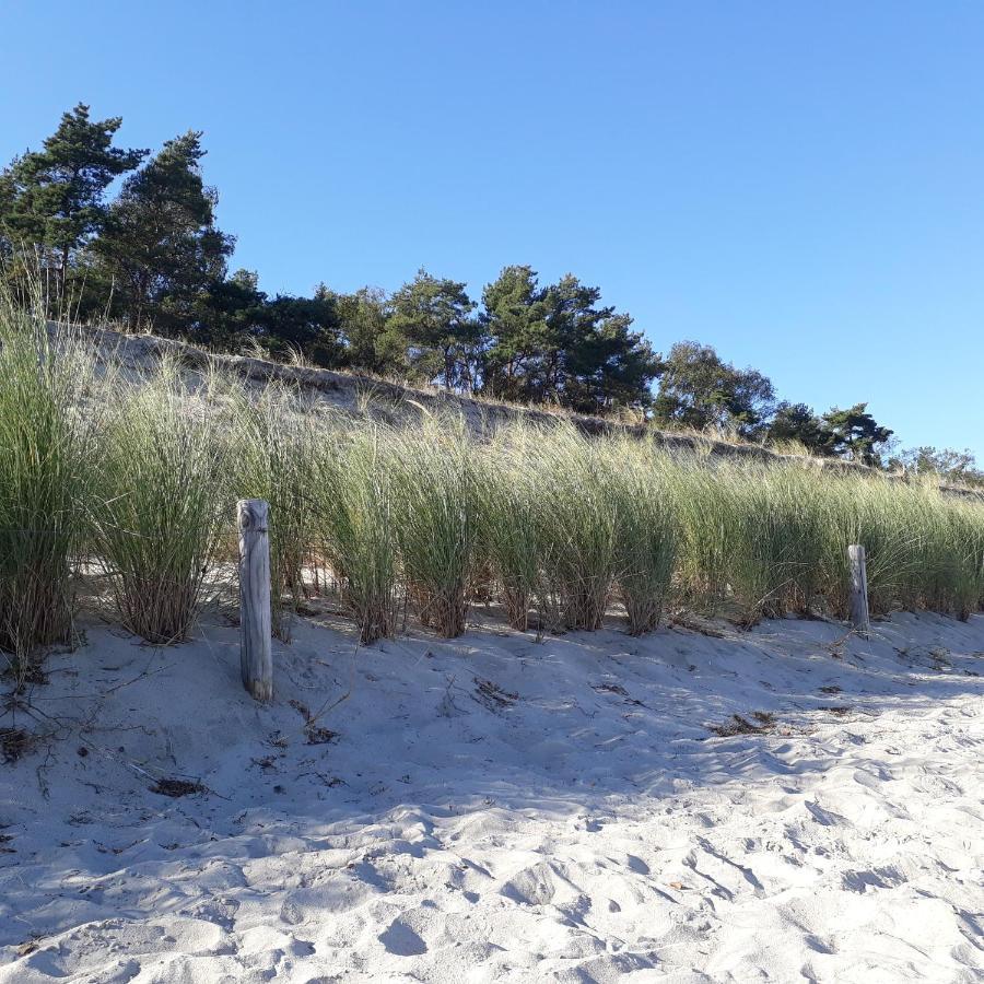Traumblick Sellin: Spacious Beachside Apartment with Pool and Sauna Goehren  Exterior photo