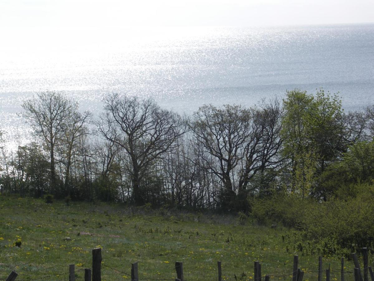 Traumblick Sellin: Spacious Beachside Apartment with Pool and Sauna Goehren  Exterior photo