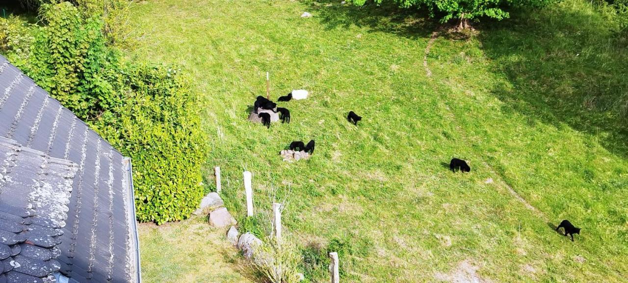 Traumblick Sellin: Spacious Beachside Apartment with Pool and Sauna Goehren  Exterior photo